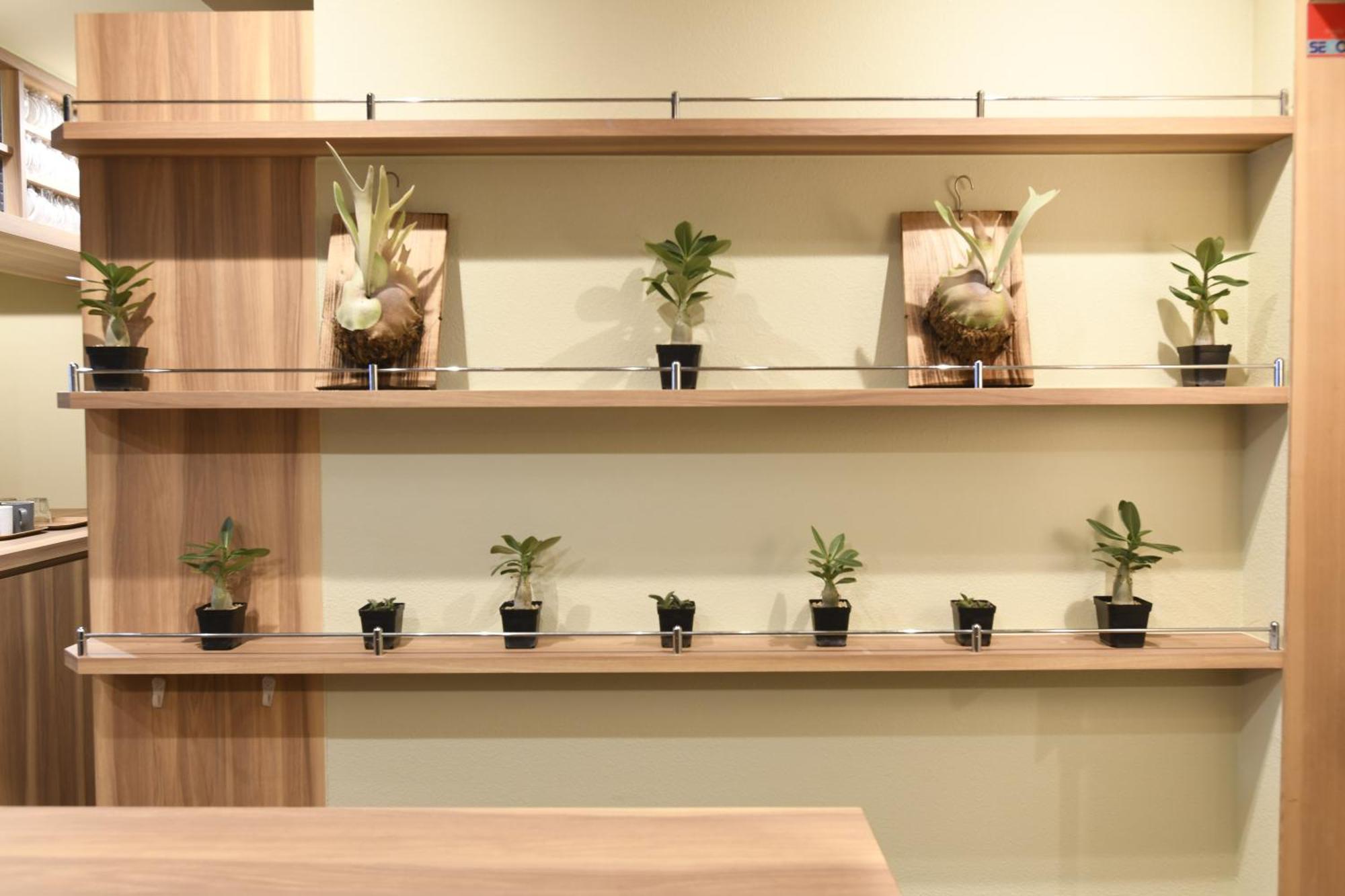 A16 Hostel Tokyo Eksteriør bilde